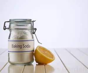 Baking Soda
