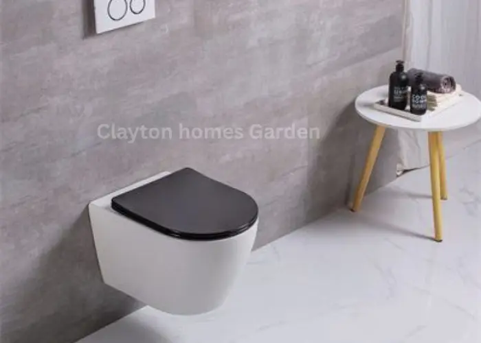 Wall Mounted Toilets
