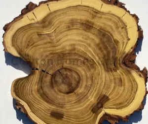 Acacia Wood