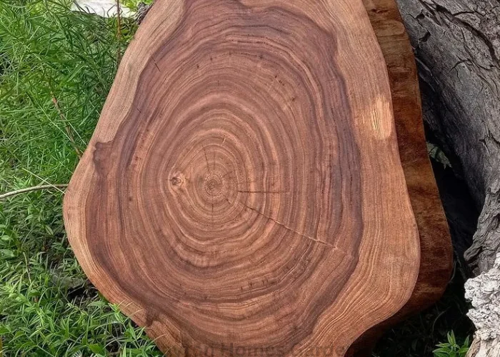 What is Acacia Wood and Is It Good?