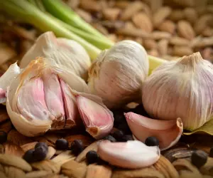 How to Plant Garlic